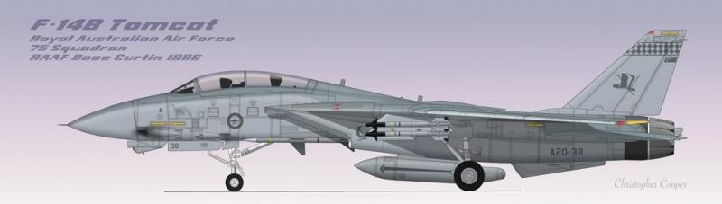 F-14BRAAFIndonesia1.jpg