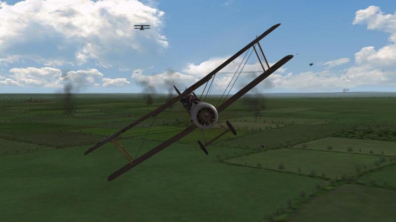 img00186.jpg