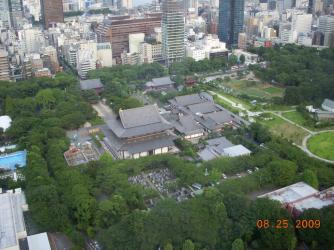 zojotemplefromtokyotower.jpg