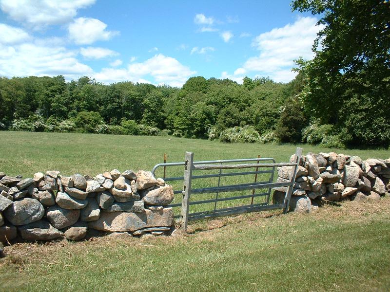 PONY LANE_23.JPG