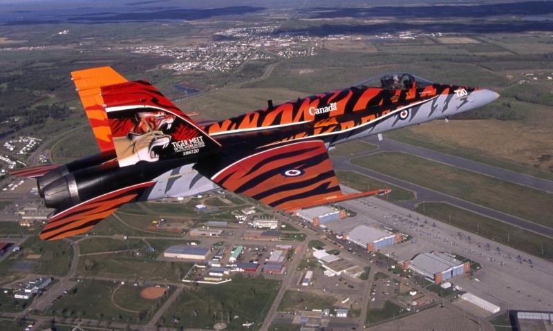 F-18-tiger.jpg