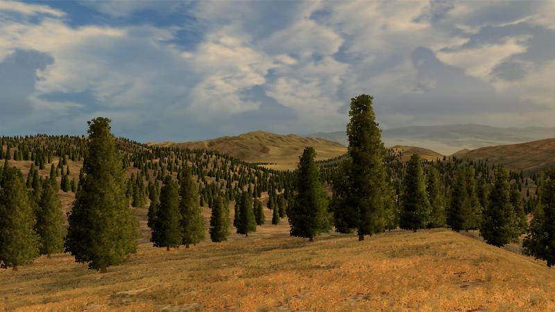 Trees-1.jpg
