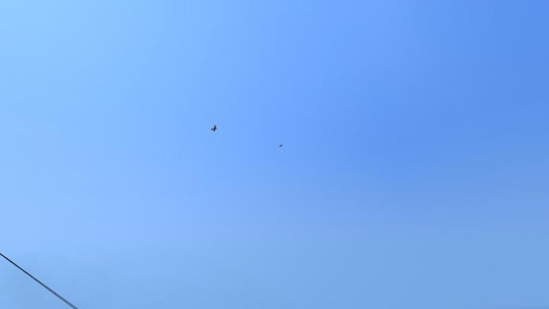 Shot12-26-16-23-20-20.jpg