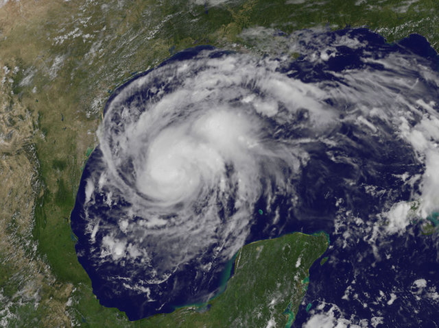 harvey.jpg