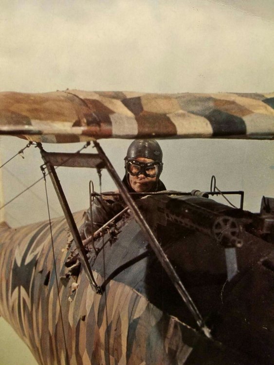 D3-6a.jpg