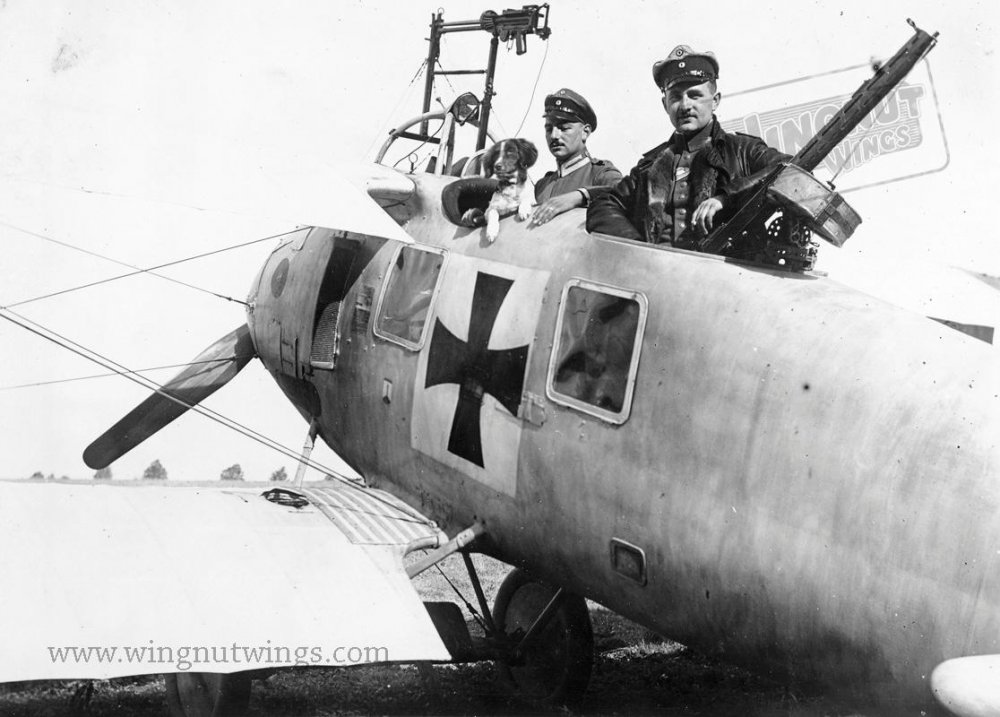 Roland C.II early fuselage cross & mouth & Lewis gun (0023-028).jpg