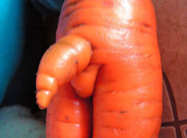 8b79724809b2f1d5fe968797992ab9b8--everything-funny-funny-fruit.jpg