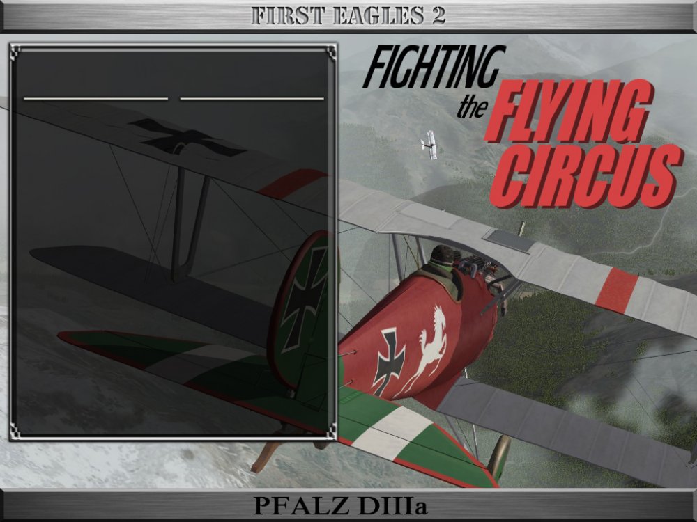 PfalzD3a_HANGAR.jpg