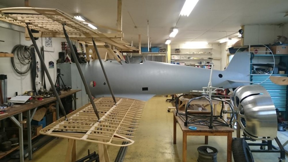 Pfalz_DVIII_proj8.jpg.JPG
