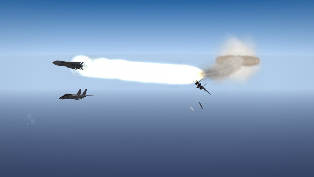 Wingman 1.JPG