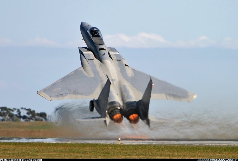 F-15C-turkey.thumb.jpg.d8c2f05305242c52263b56788b3954ea.jpg