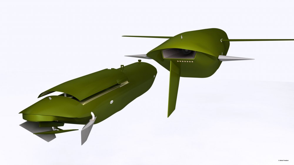 AGM-129A-02.jpg