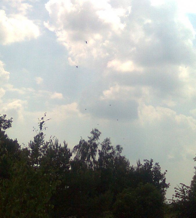 Bild1.thumb.jpg.ea1fafd264e1ec5c5250ce43d3b5a2be.jpg