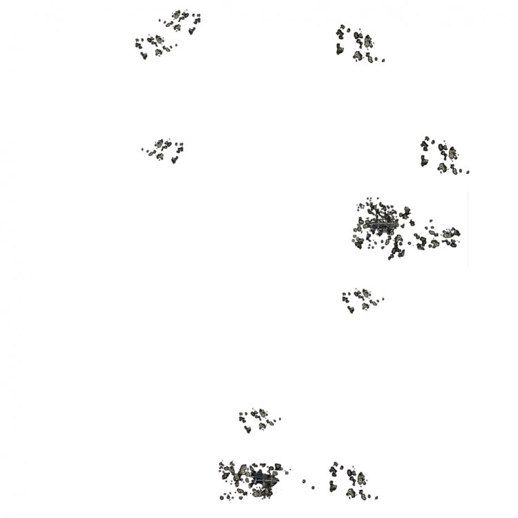 3.thumb.jpg.b290e8d24f5537da5210720122bd6f79.jpg