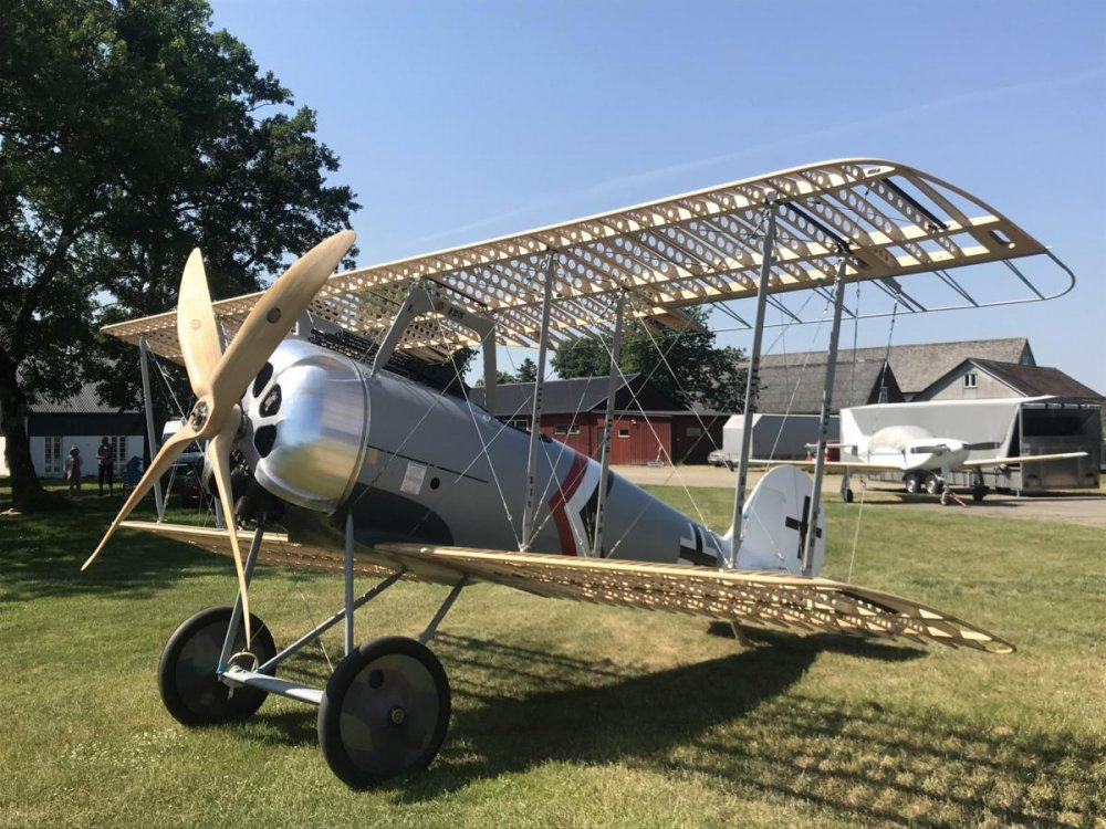 Pfalz_DVIII_proj9.jpg