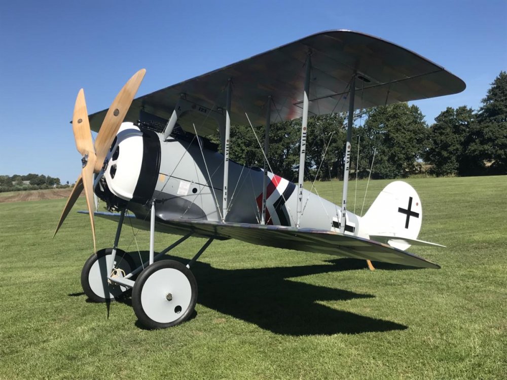 Pfalz_DVII_proj12.jpg