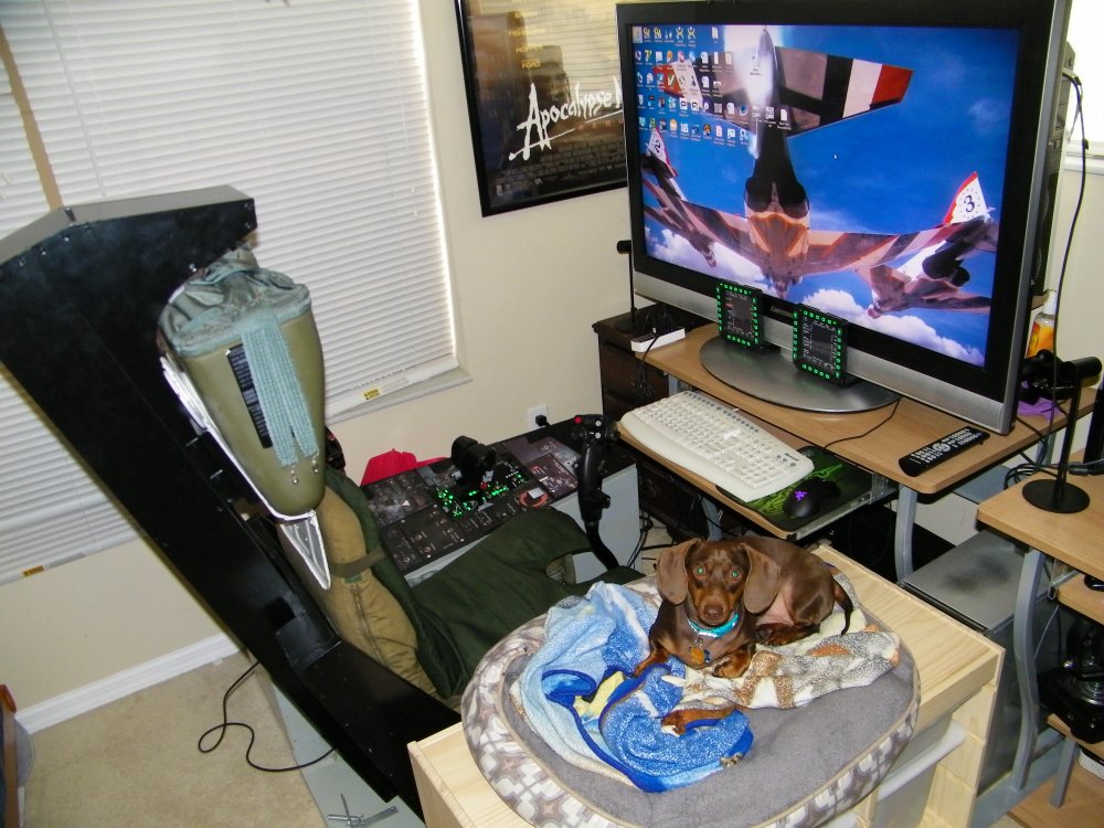 100_0009.JPG