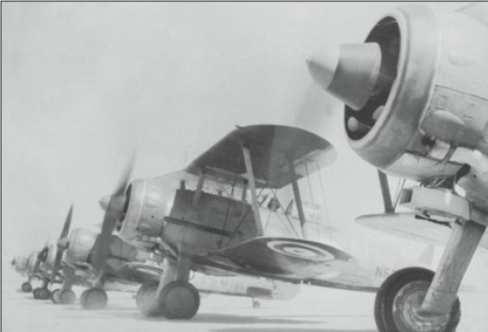 3 RAAF Helwan.jpg