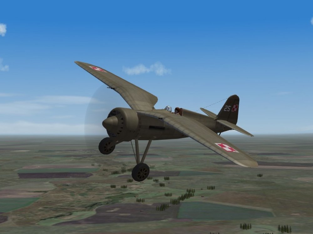 P11c_Polish.JPG