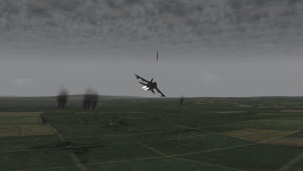 img02803.thumb.JPG.e7f64680149a3dbc2e99971ea165f5f4.JPG