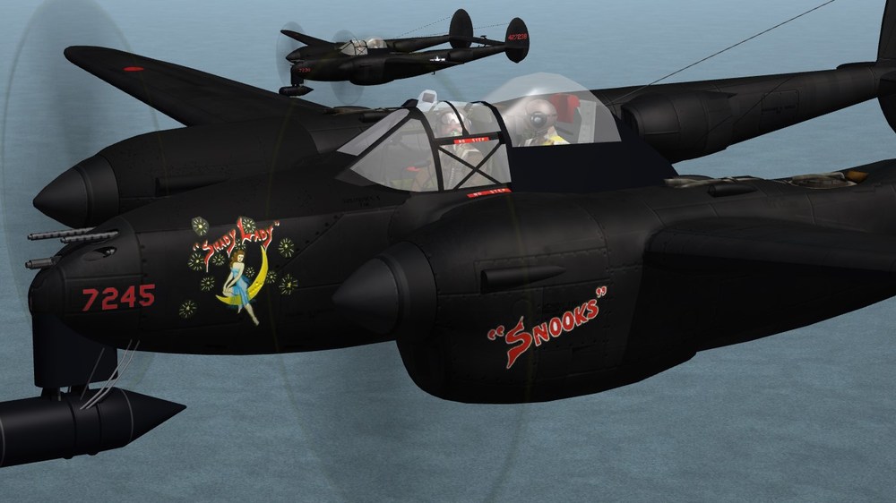 P-38M_LOADING.JPG