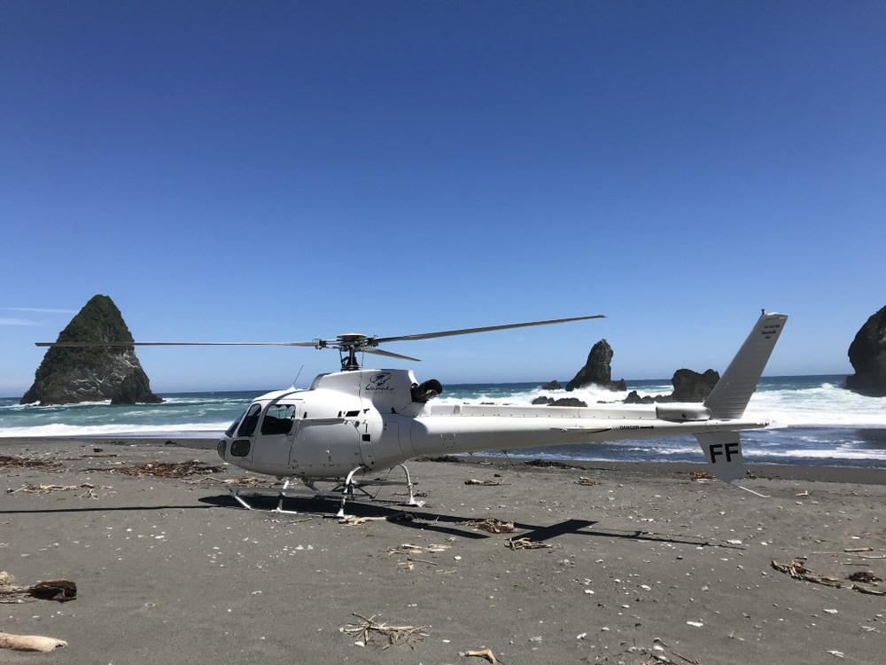 helicopter-scenic-flights-9.jpg