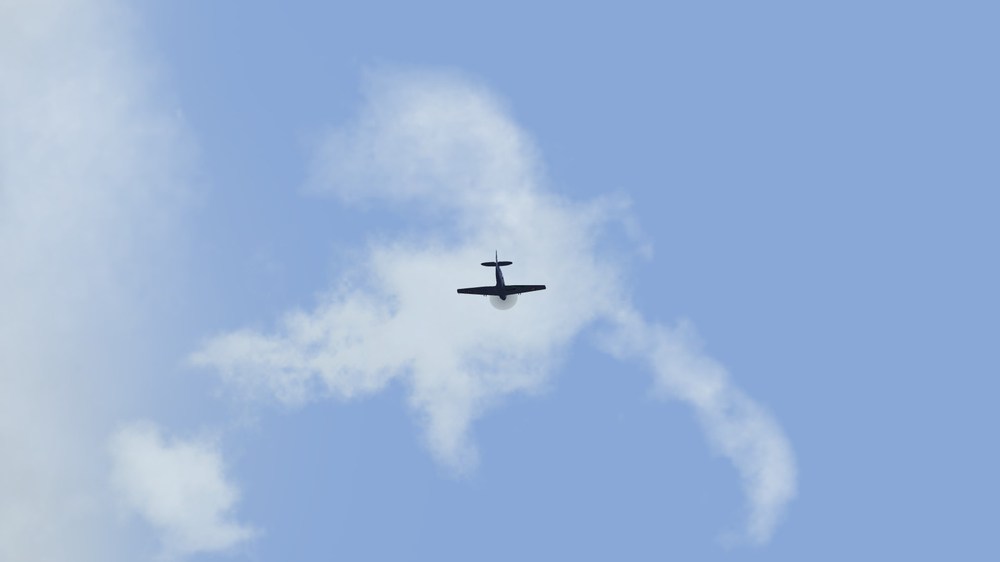 img00015.JPG