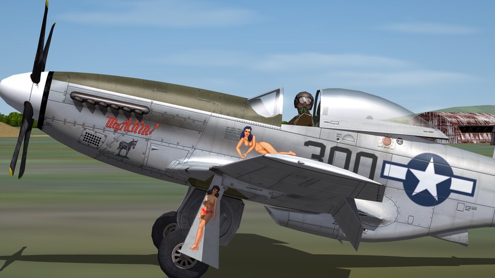 531st FS.JPG