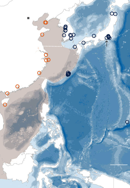 threeseas-xs.thumb.jpg.e6fff6f7d15b559066d8425fc069a667.jpg