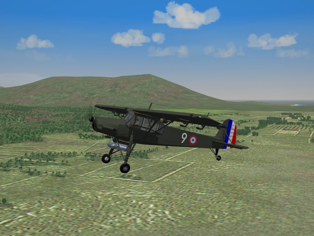 ms500_criquet.JPG