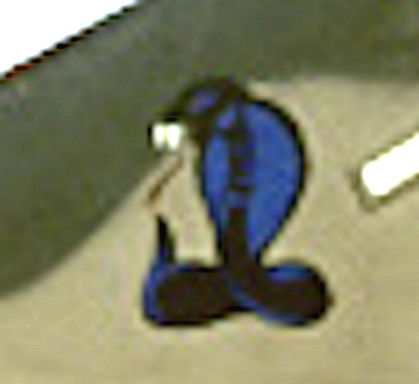 Image1.thumb.jpg.ecfa4e0fa7b11202b7d9653cd1173c0e.jpg