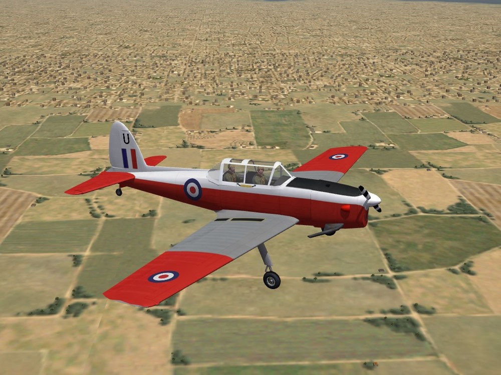 chipmunk-1.JPG