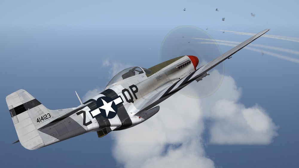 US Army Air Forces (P-51D-10).JPG
