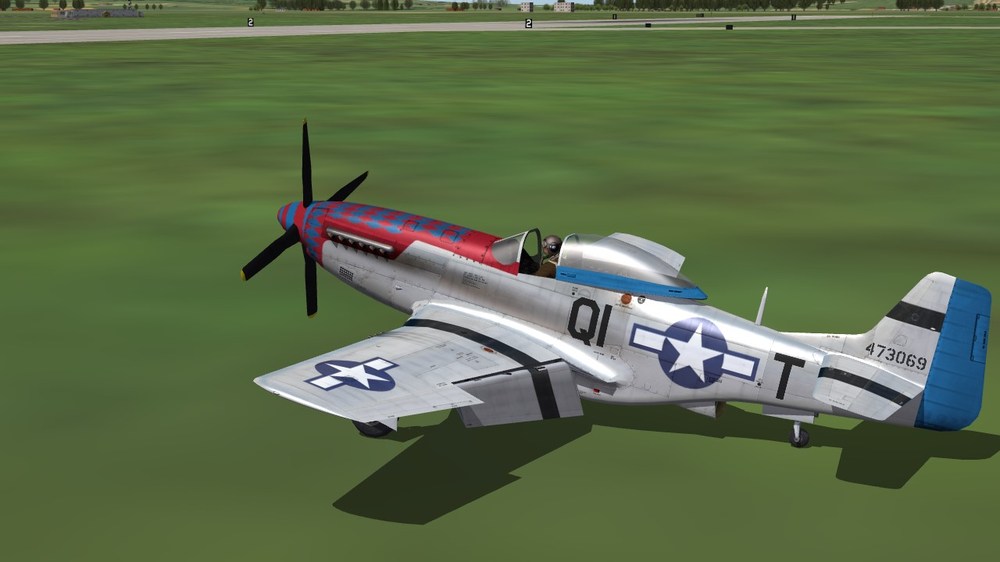 361st FS.JPG
