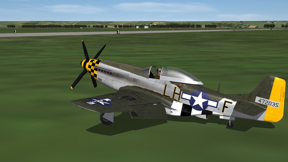 350th FS.JPG