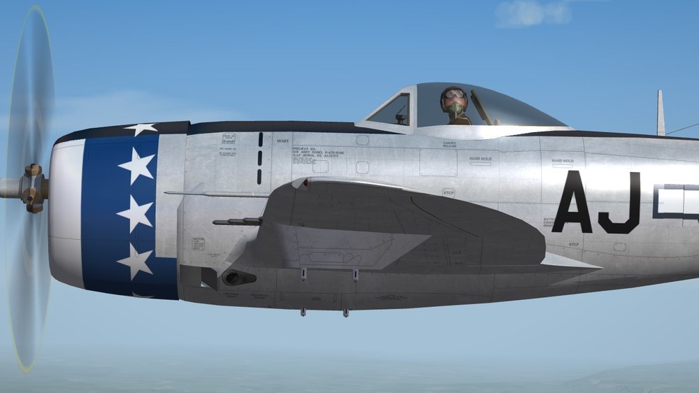 356th FS.JPG
