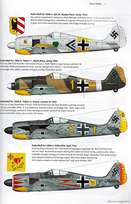 190-4.jpg.8eae8bd114f83f122a76454ab56fd85b.jpg