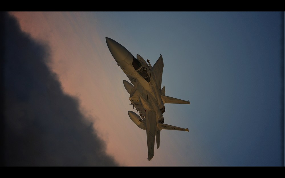 EAGLE_01.thumb.jpg.fefff9fa3ecf338e4eea993e59102309.jpg