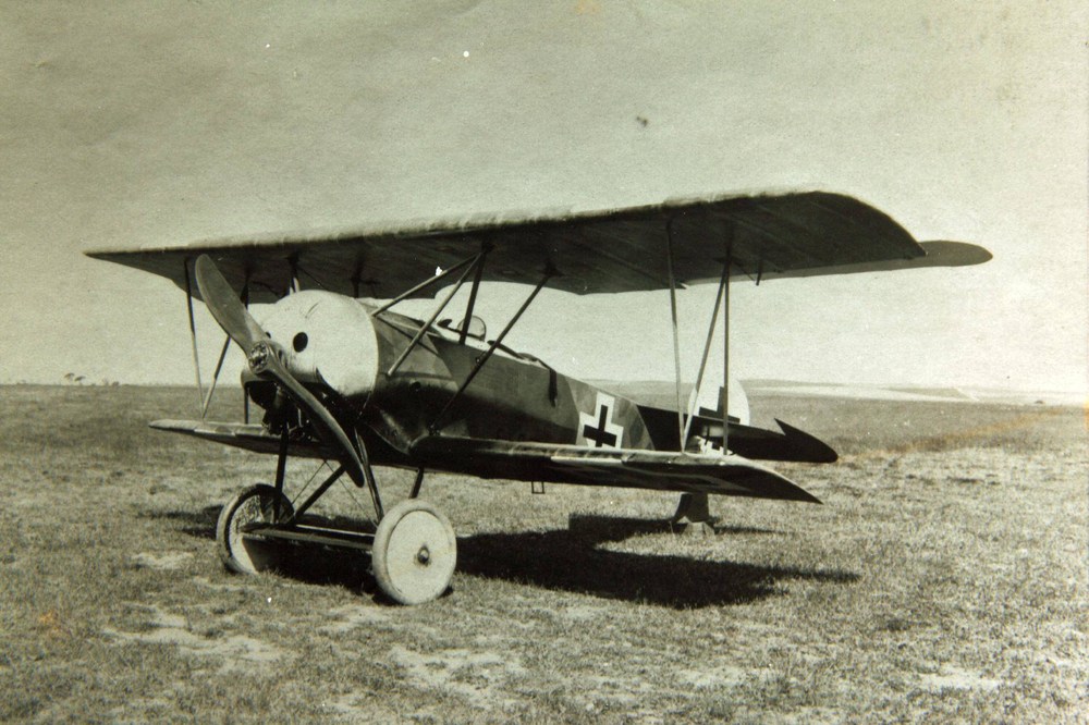 Fokker_D_VI.thumb.jpg.17dc63a56733302bfcb2bd4e4031b67d.jpg