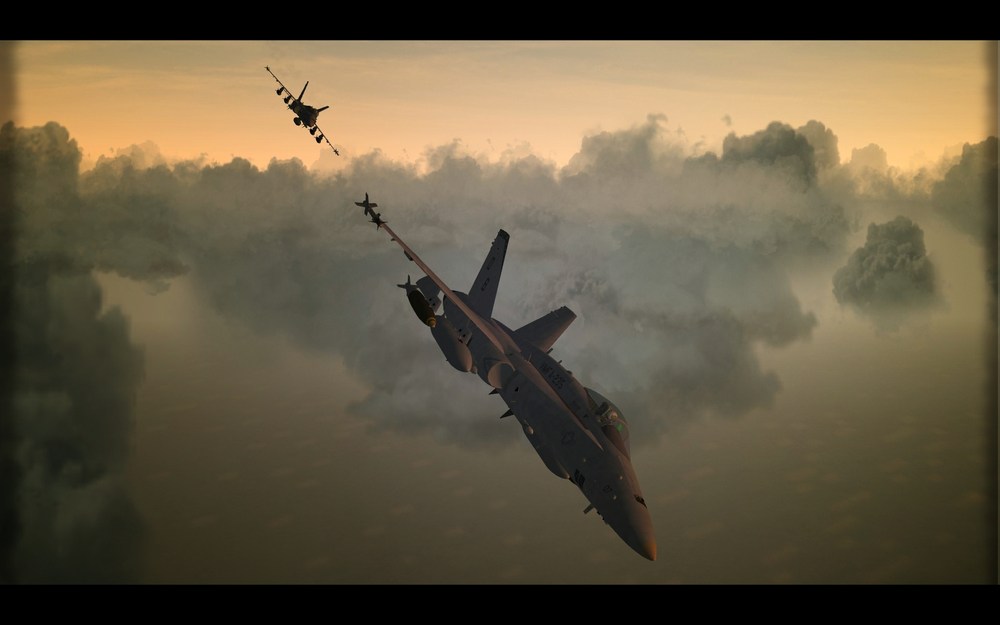HORNET_c_02.thumb.jpg.a1df96a737a844e24895f36582ae60bc.jpg