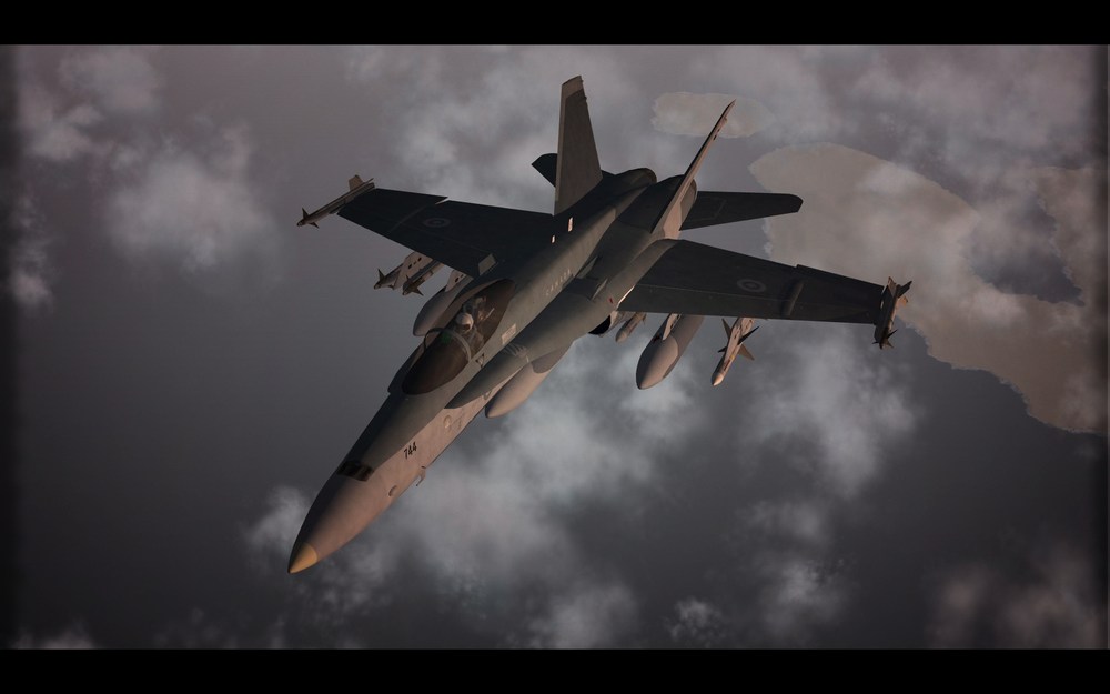 HORNET_maple_01a.thumb.jpg.c69a1c92b6832a3a118f51b3e899bc48.jpg