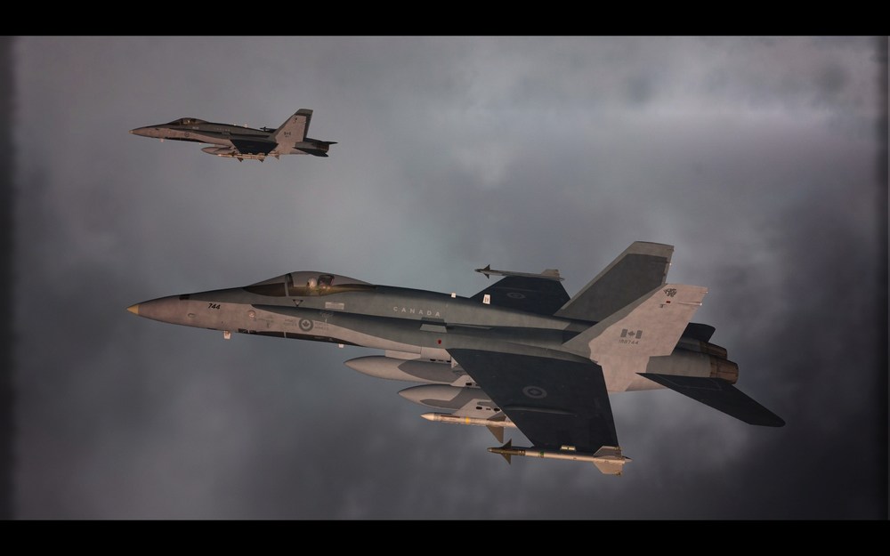 HORNET_maple_02.thumb.jpg.979127340c89fe511ed1a69ddfd55b14.jpg