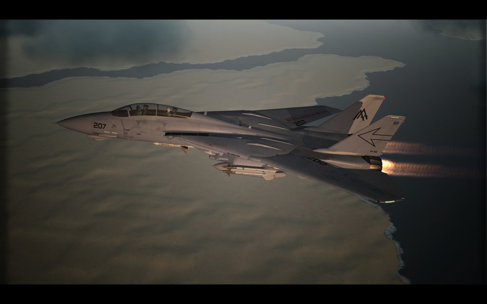 TOMCAT_01.thumb.jpg.a6e78c929b7a005d768b9114413f06c8.jpg
