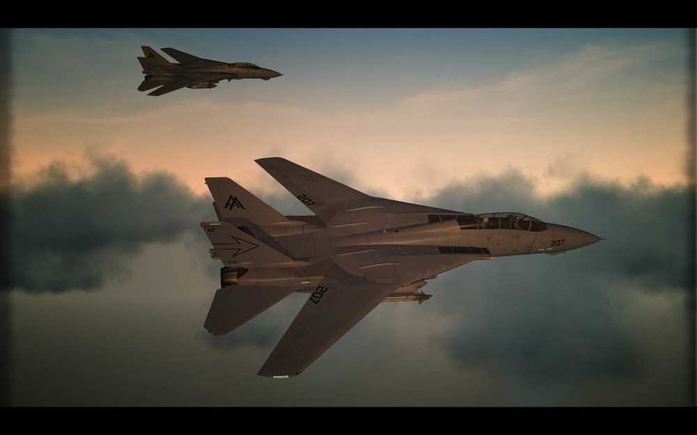 TOMCAT_02.thumb.jpg.1ccda5436957618c08c05fb9daa04ac0.jpg