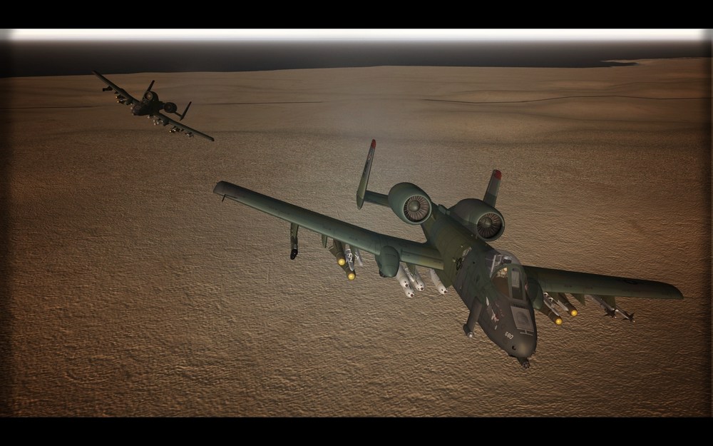 WARTHOG_02.thumb.jpg.5c98aa52d341eb56c96865f90c780197.jpg