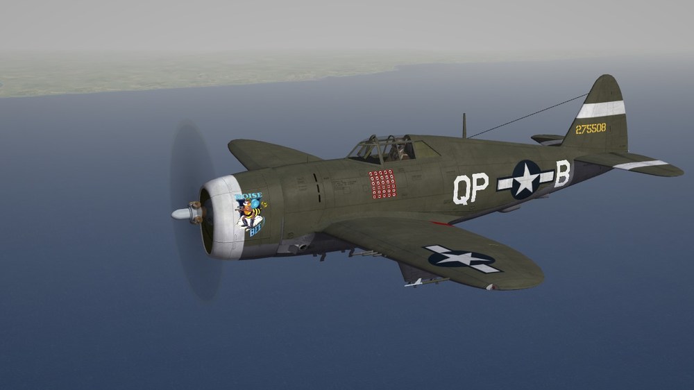 334th FS Boise Bee.JPG