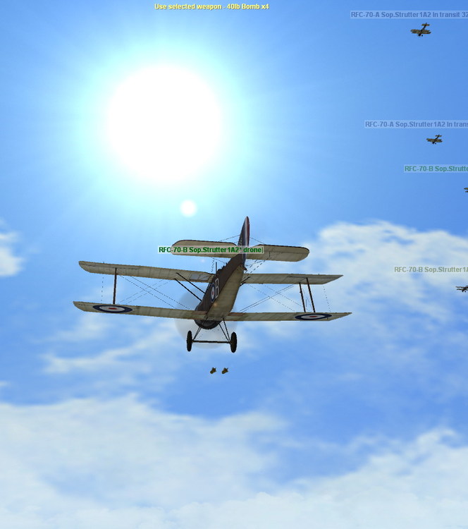 60747fba106ff_Strutterbombload02.thumb.jpg.1935fb589dde99f312313f8f8d989deb.jpg