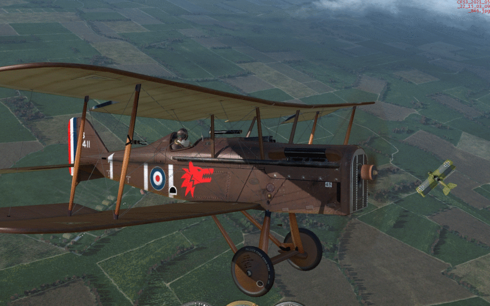 CFS3_2021_05_22_15_03_09_846_old.gif