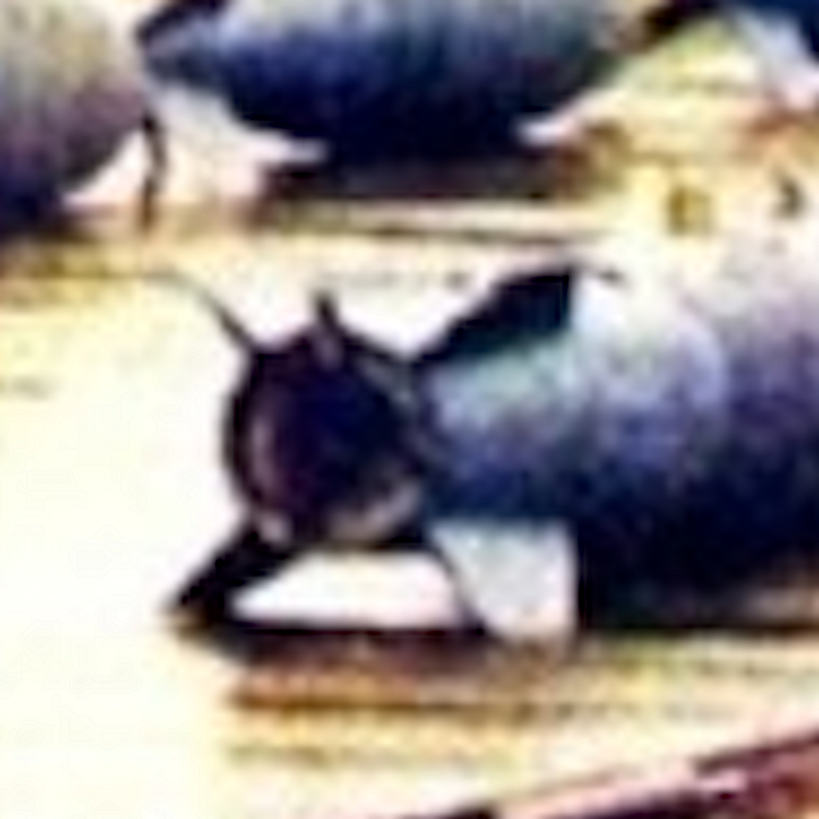 Image0.thumb.png.e8caac65e95378e8d3950a4d2f730158.png