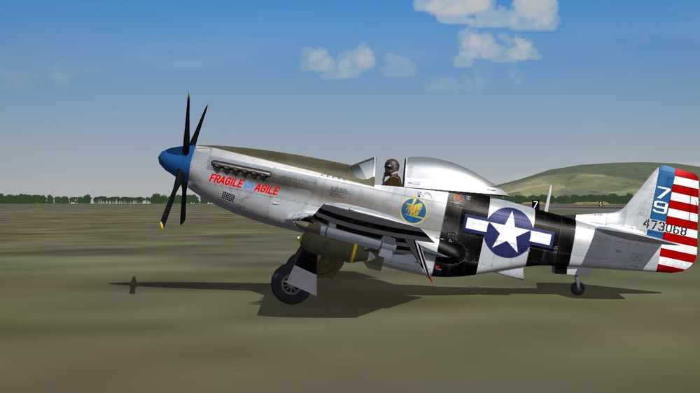 342nd FS.JPG